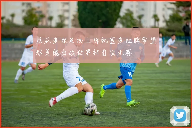 厄瓜多尔足协上诉凯塞多红牌希望球员能出战世界杯首场比赛